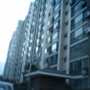 대산읍 충의로 이미지