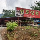연포상회