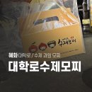 동덕유통 | 혜화 대학로 수제모찌 내돈내산 포장 후기