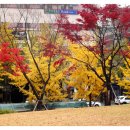 독립공원형무소역사관 이미지