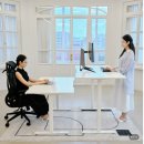 오비스디자인 | 제닉스 오비스 모션데스크 EL 후기, 가성비 높이조절책상 찾는다면 괜찮은 선택