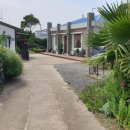 하도리안 이미지