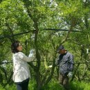 이영철농장 이미지