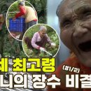 [특종세상] 116세, 우리나라 최고령 할머니의 장수 비결은? MBN 이미지