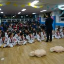 용인대타이곤 태권도 체육관 이미지