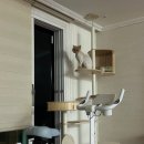 (주)네오트리게임즈 | 크리스마스 트리를 꾸몄다 주간일기