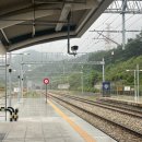 학성사우나 | 고로쇠!