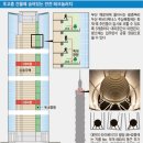 650t 물탱크가 강풍 때 중심 잡아 … 진화하는 초고층 안전 기술 이미지