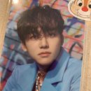 개, 이쁘다 이미지