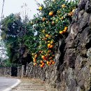 난산리-3 이미지