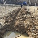 수막 목장 이미지