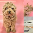 내추마을회관 이미지