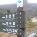 한국강산