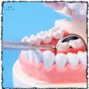 서울바른 치과교정과치과의원 이미지