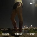 JY헤어클럽 | 갓생일지 ｜#5 난생 처음 새벽에 요가를 해봤다