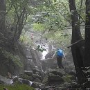 지리산자연휴양림 이미지