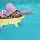 웰컴 펠릭스 이미지