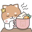 코우코알라 이미지