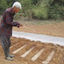 낙안농장 이미지