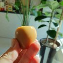 속초관광호텔 베리트 이미지