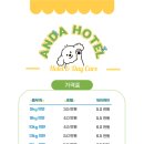 안다펫살롱 이미지