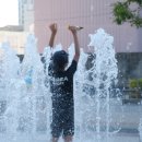 정량천 생태하천 이미지