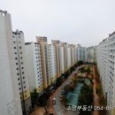 신역사공인중개사사무소 이미지