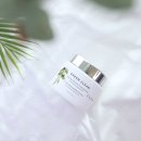 그린클린 이미지