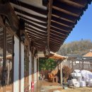 안숙 | 전주 숙소 추천 내돈내산 소리풍경 조식 나오는 전주한옥마을안숙소