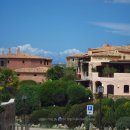 CERVO