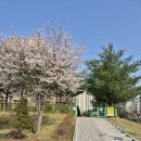 해오름 유치원 놀이터 이미지