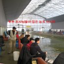 능곡 낚시터 이미지