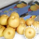 큰솔농장 이미지