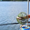 가산낚시터 이미지