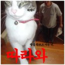 대망주유소 이미지
