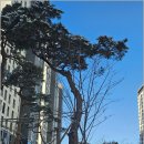 고산지구공인중개사사무소 이미지