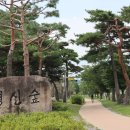 영신숲길1 이미지