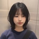 티엔피 이미지