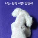 연세건강약국 이미지