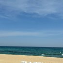 버드나무수산 네이버블로그