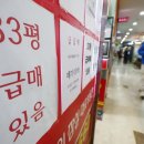 연일공인중개사사무소 이미지