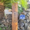 화순양옥 | 제주도 화순양옥 후기