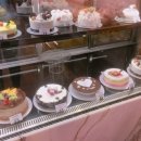 사직2동-14 이미지