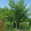 덕곡농장 이미지