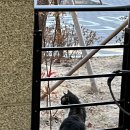 한일세차장 이미지