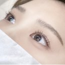 댕댕이 커트방 이미지