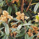 남해-268 이미지