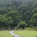 내츄럴휴 이미지