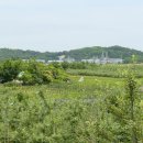 조안 농장 이미지