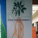 강화인삼협동조합 이미지